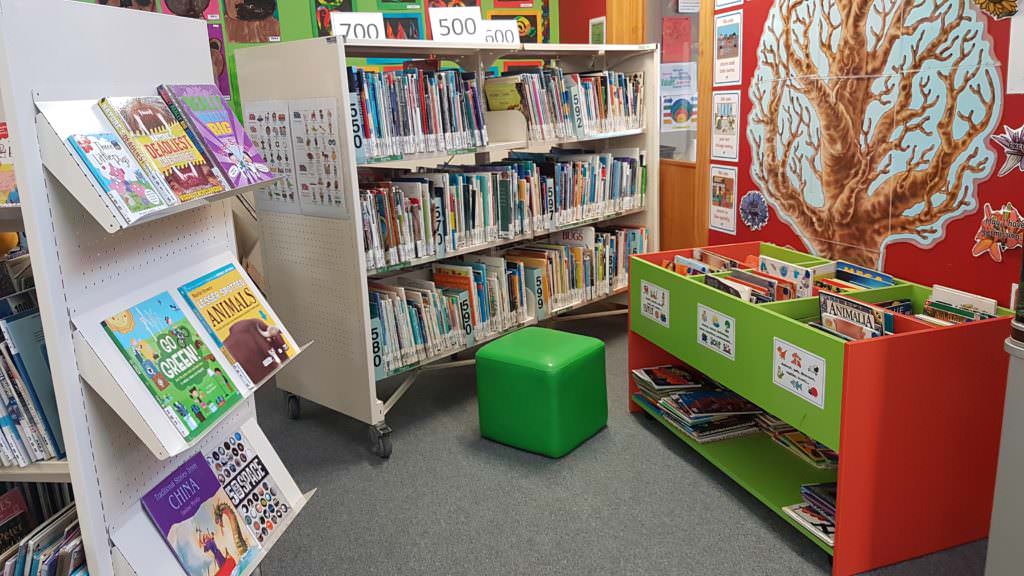 School Library 1